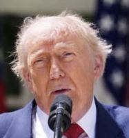 THE ORANGE TYRANT.jpeg