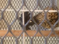 IMG_0189.jpeg
