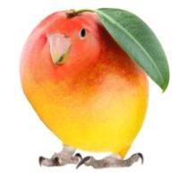 ignacio.png