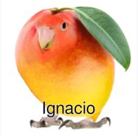 IGNACIO.png