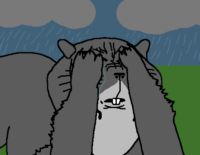 IMG_3216.png